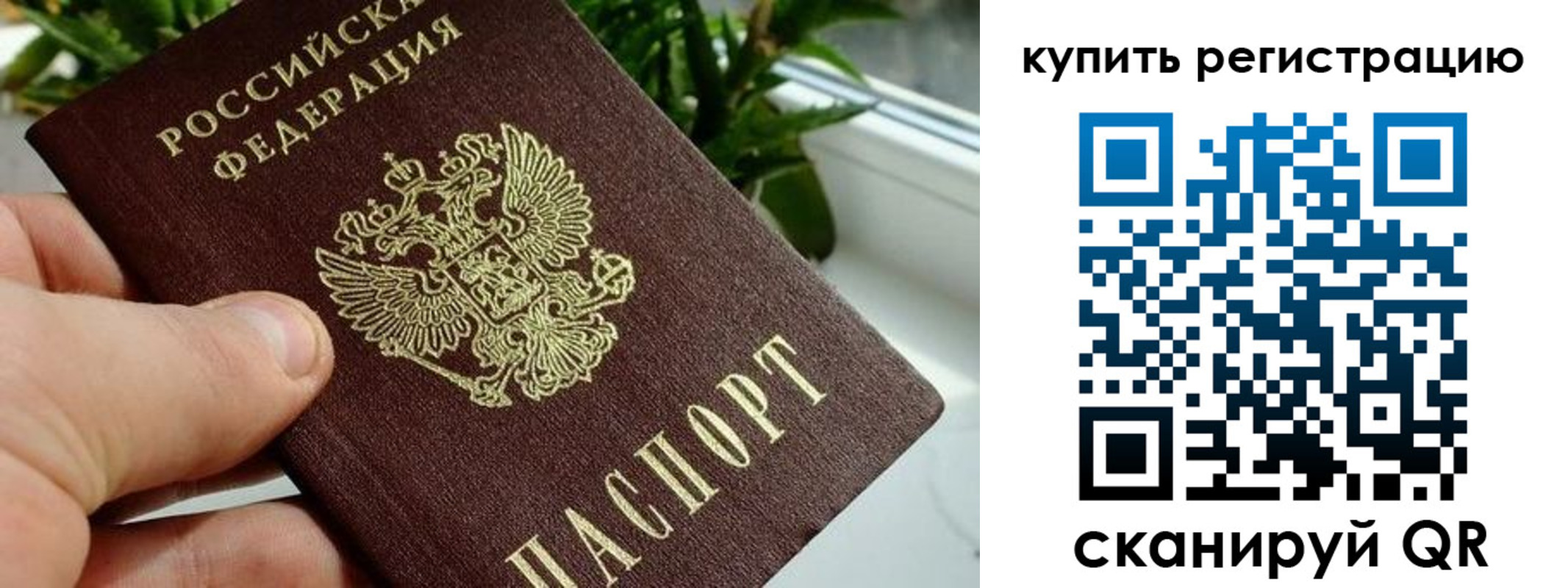 прописка гарантия в Козьмодемьянске